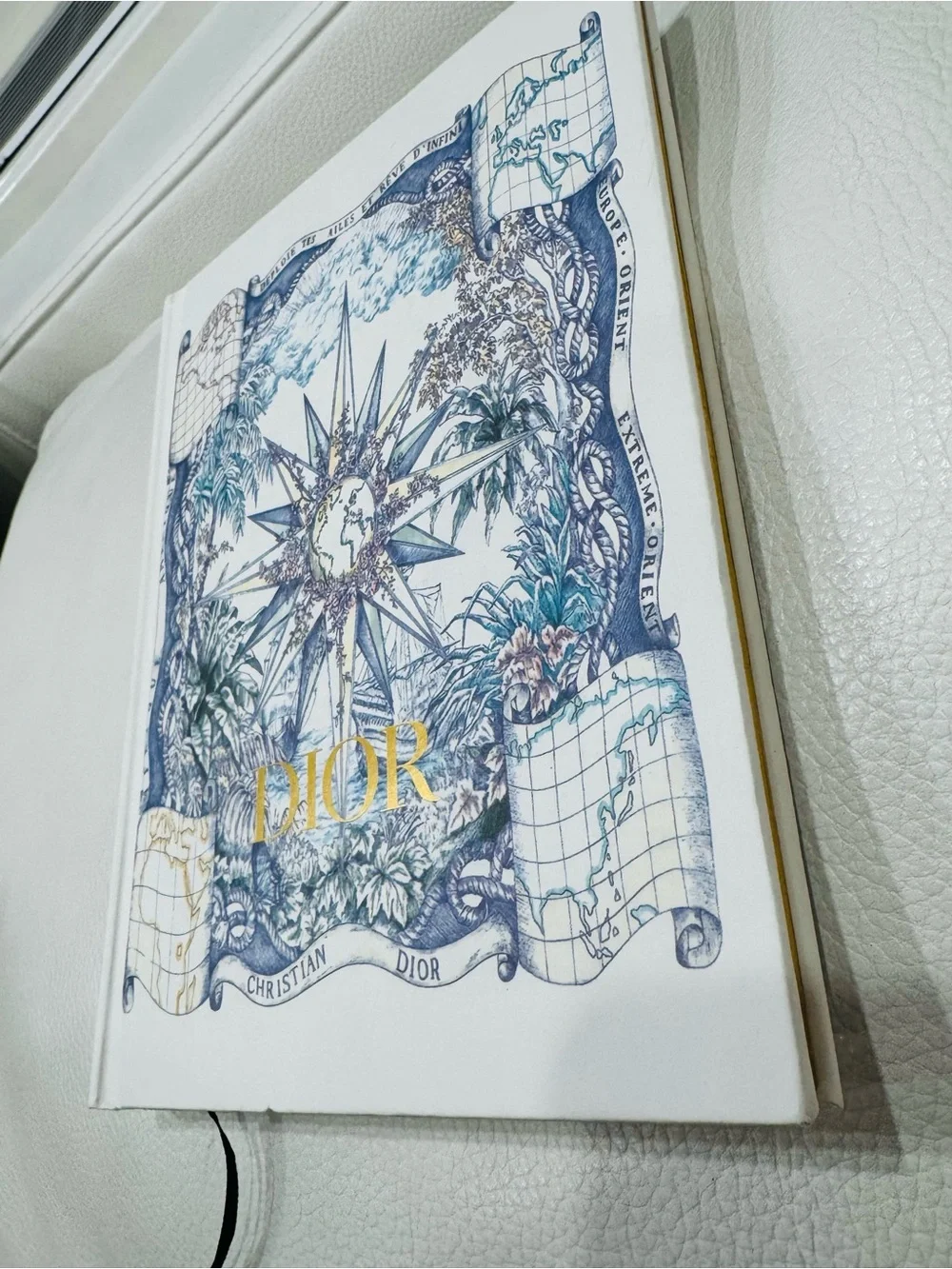 Dior blue print